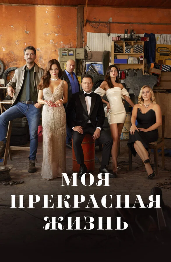 Моя прекрасная жизнь - постер сериала